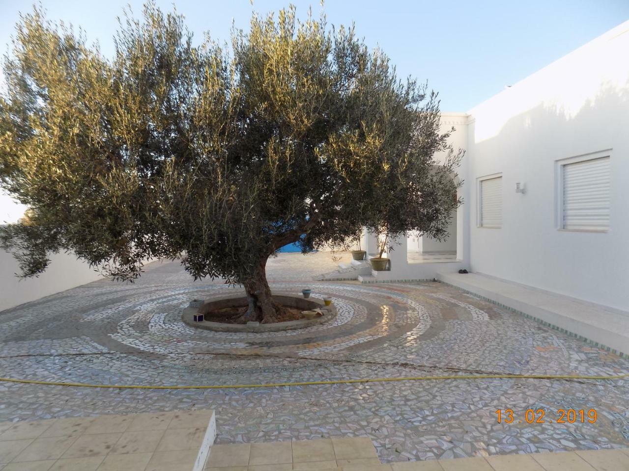 Bed and Breakfast Dar Mamina Sidi ash Shammakh Zewnętrze zdjęcie